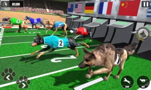 Cách Chơi Game Nhanh Đua Chó Tại Rikvip Chi Tiết Dễ Hiểu