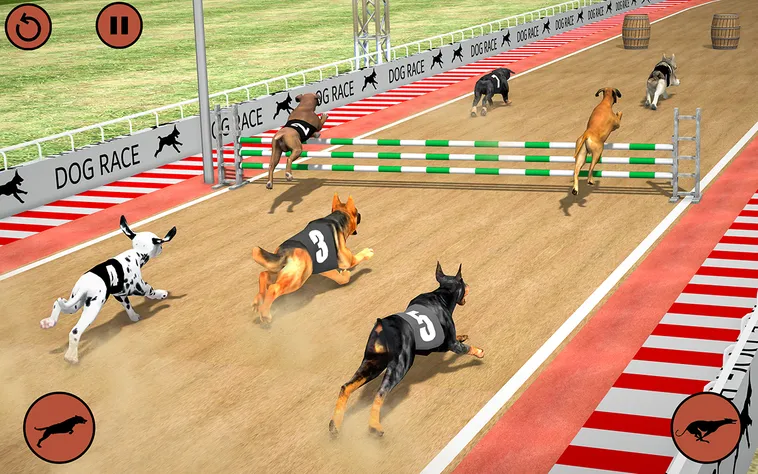 Cách Chơi Game Nhanh Đua Chó Tại Rikvip Chi Tiết Dễ Hiểu